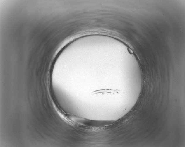 X0000078831523200612041800