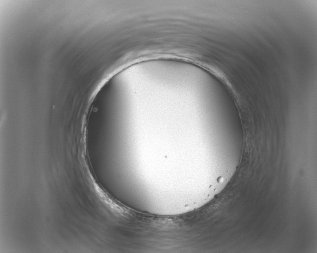 X0000078831524200612041800