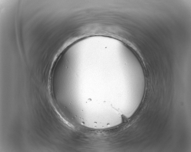 X0000078831525200612041800