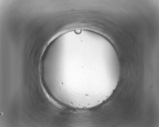 X0000078831526200612041800