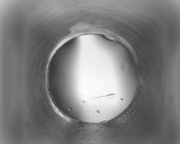 X0000078831528200612041800