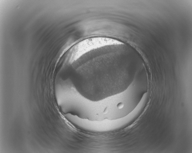 X0000078831529200612041800