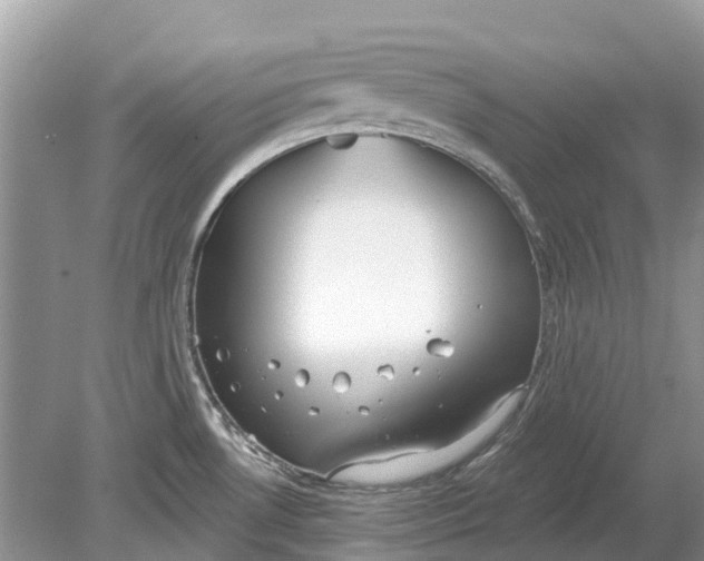 X0000078831530200612041800