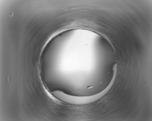 X0000078831531200612041800