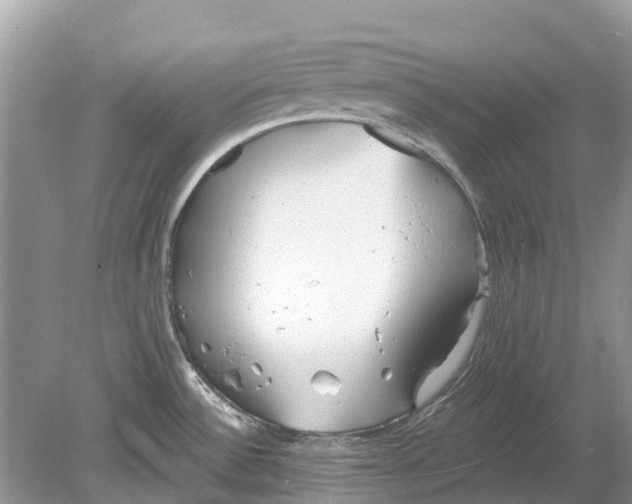 X0000078831532200612041800