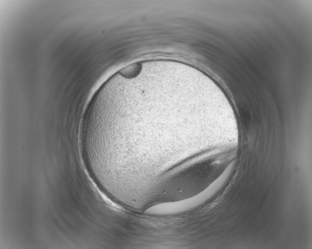 X0000078831533200612041800