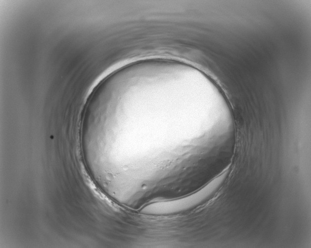 X0000078831534200612041800