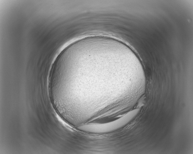 X0000078831535200612041800