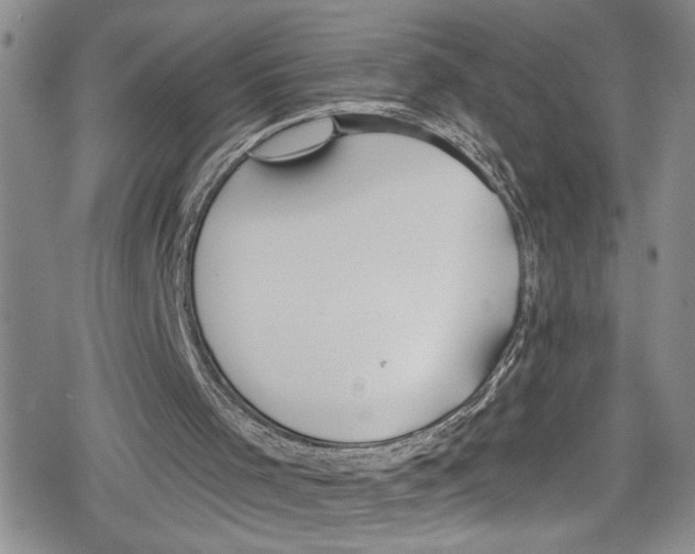 X0000078830001200612111531