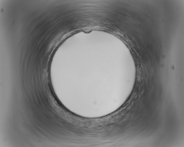 X0000078830002200612111531