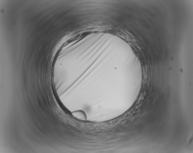 X0000078830003200612111531