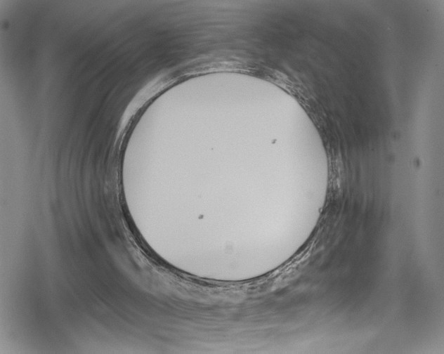 X0000078830004200612111531