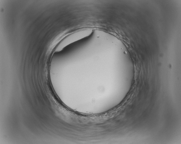 X0000078830005200612111531