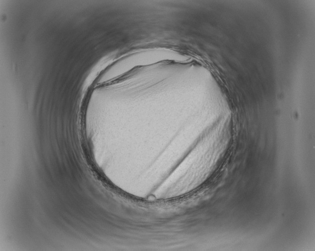 X0000078830006200612111531