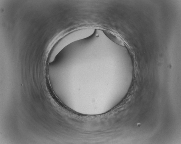 X0000078830007200612111531