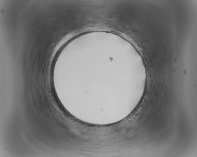 X0000078830008200612111531