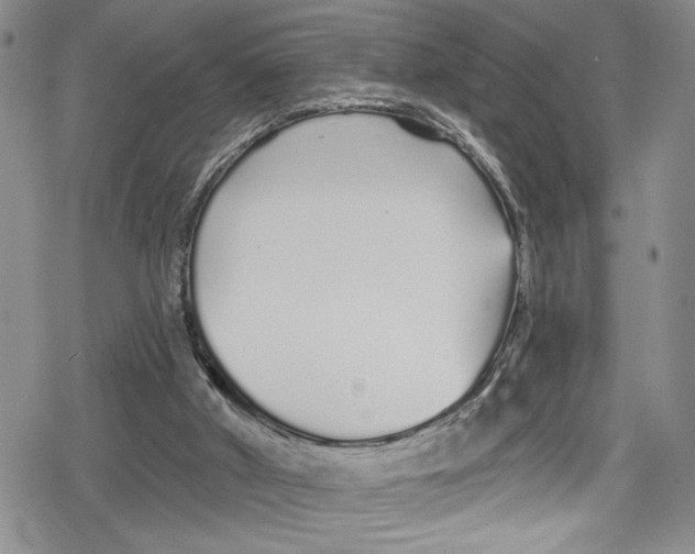 X0000078830010200612111531