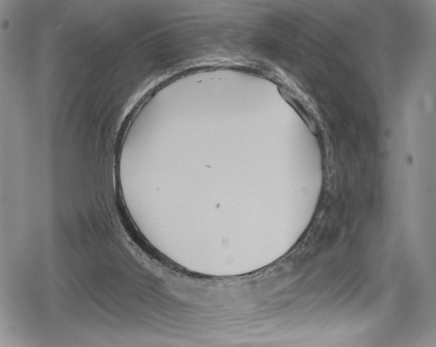 X0000078830011200612111531