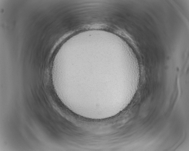 X0000078830012200612111531