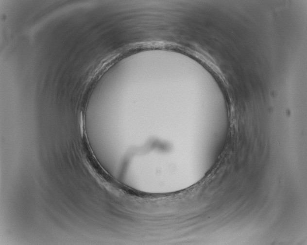 X0000078830013200612111531