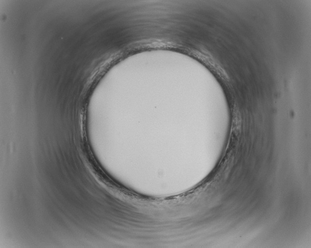 X0000078830014200612111531