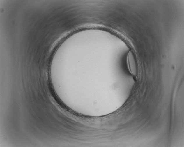 X0000078830015200612111531