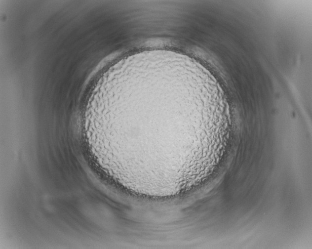 X0000078830016200612111531