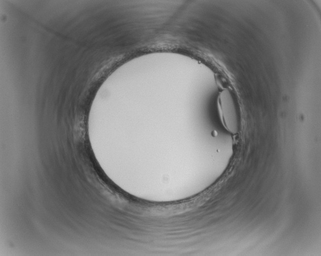 X0000078830017200612111531