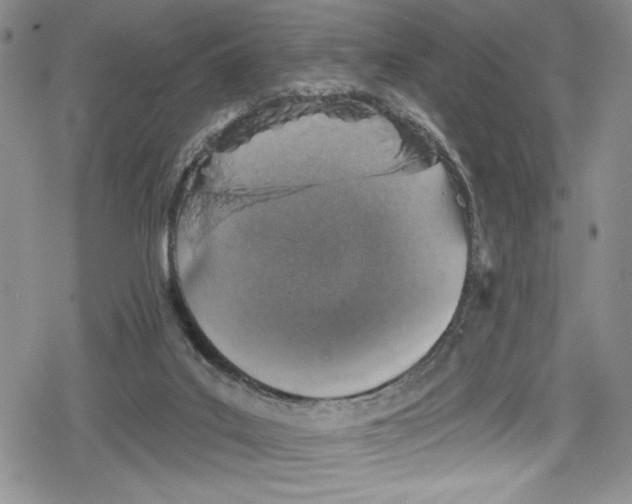 X0000078830019200612111531