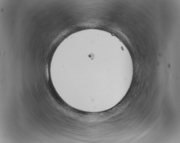 X0000078830020200612111531