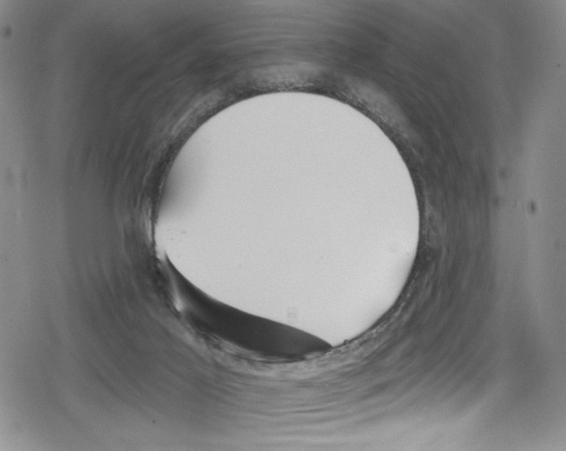 X0000078830021200612111531