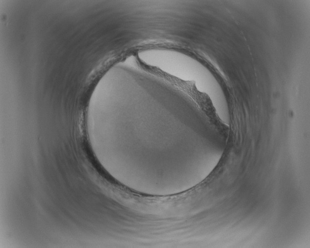 X0000078830023200612111531