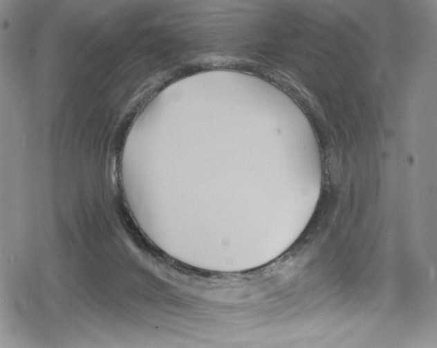 X0000078830024200612111531