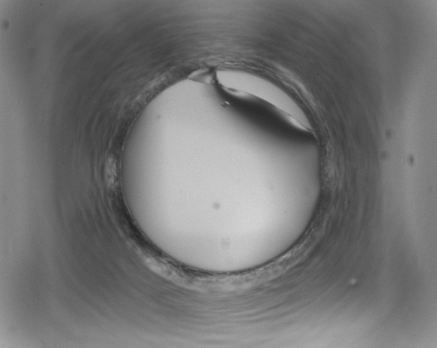 X0000078830025200612111531