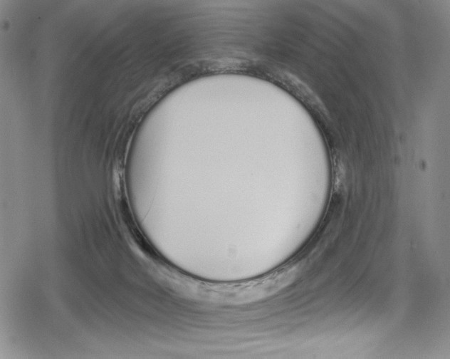 X0000078830026200612111531