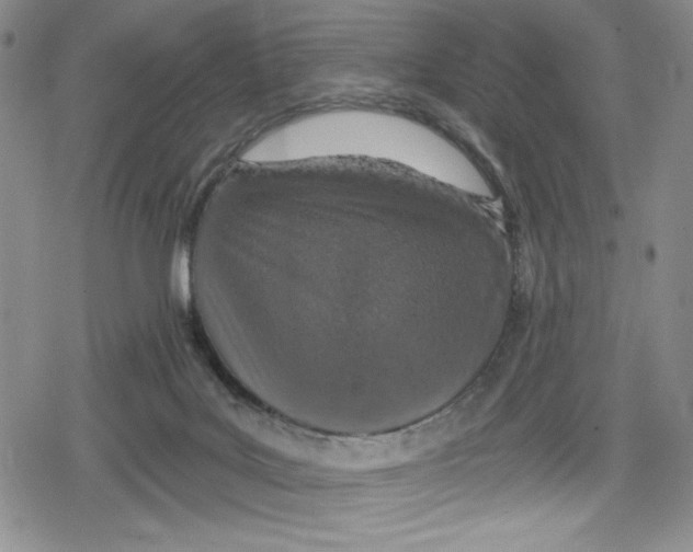 X0000078830027200612111531