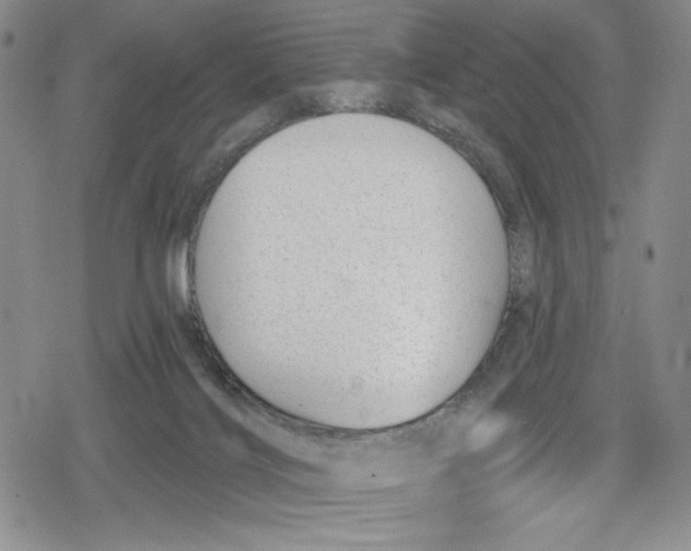 X0000078830028200612111531