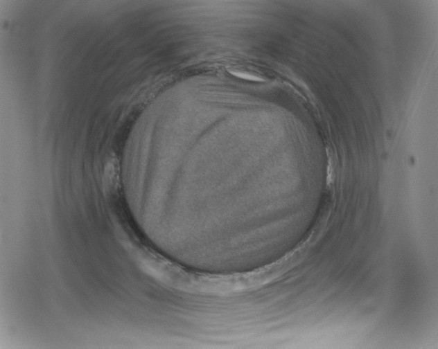 X0000078830029200612111531