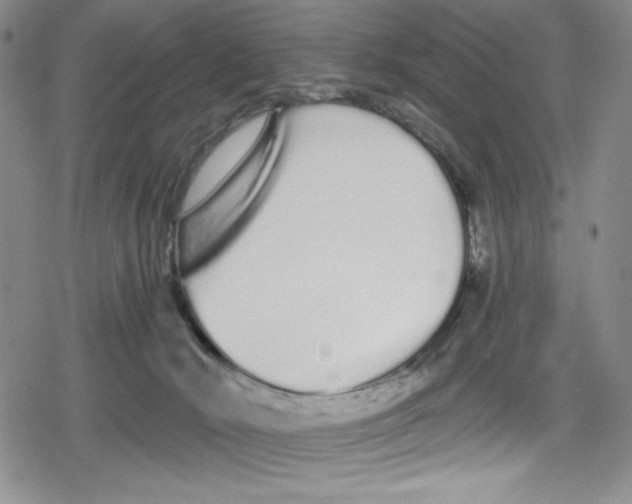 X0000078830030200612111531