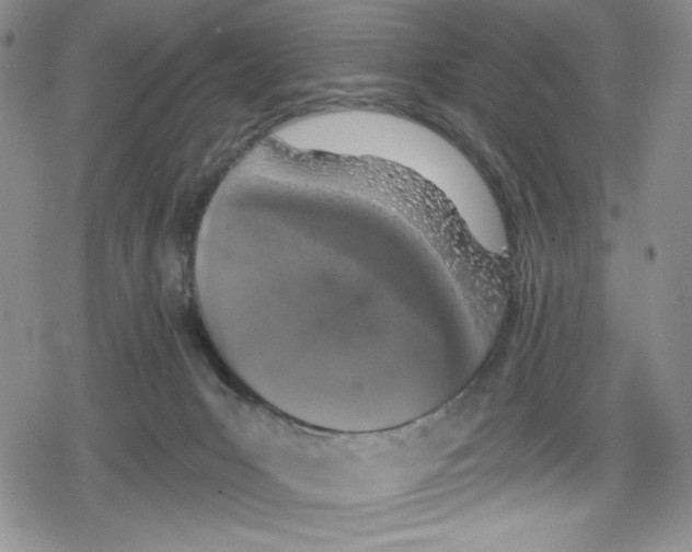 X0000078830031200612111531