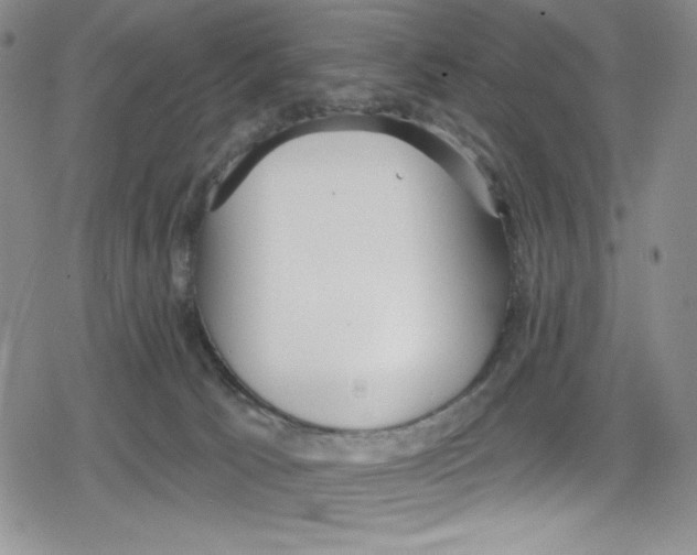 X0000078830033200612111531