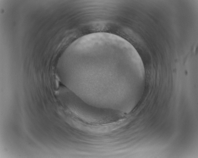 X0000078830035200612111531