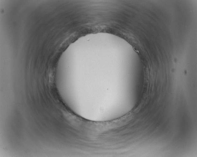 X0000078830037200612111531