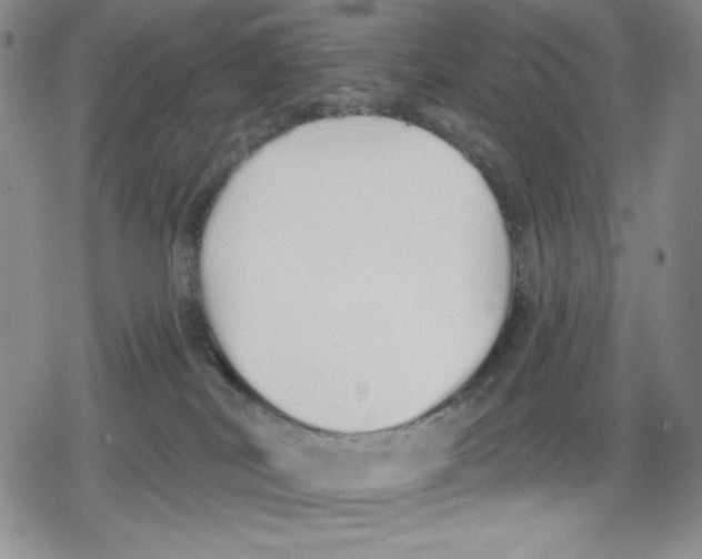 X0000078830038200612111531