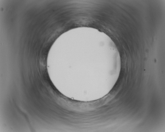 X0000078830040200612111531