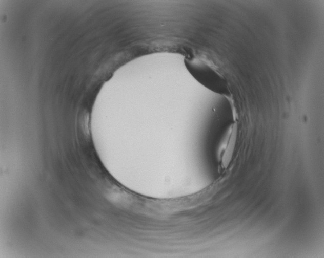 X0000078830041200612111530