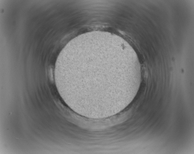 X0000078830042200612111530