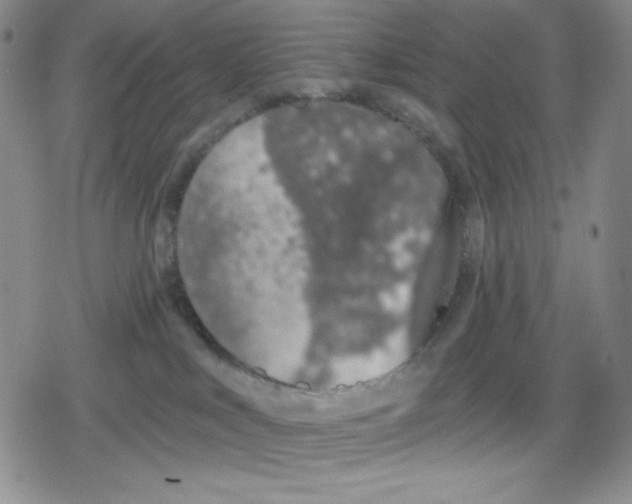 X0000078830043200612111530