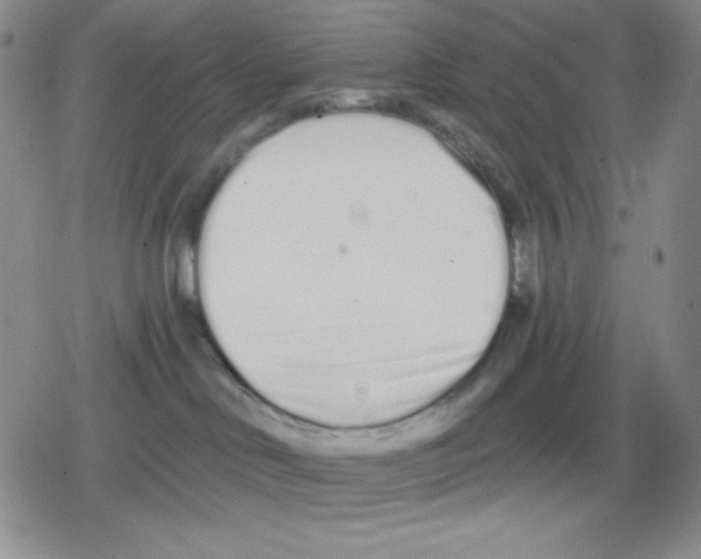 X0000078830046200612111530