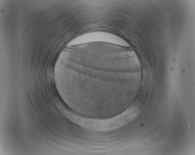 X0000078830048200612111530